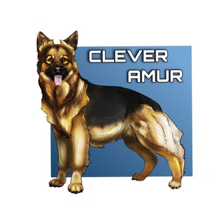 Логотип телеграм канала @clever_amur — CLEVER_AMUR