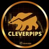 Логотип телеграм канала @cleverpipstrial — clever pips