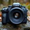Логотип телеграм канала @clicksnapinspire — ФотоШедевр
