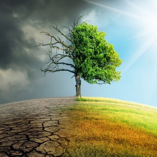 Логотип телеграм канала @climatetherightstory — KLIMA - DIE WAHRE GESCHICHTE (ChrisMüller)