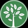 Логотип телеграм канала @clinicprimavera — Примавера Медицинский центр