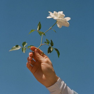 لوگوی کانال تلگرام cloouud — غَــيــم 🕊️