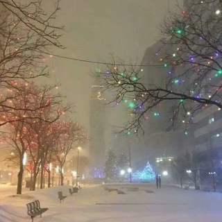 Логотип телеграм канала @cloraniumcourses — Cloranium | Сливы топовых курсов 🔥