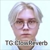 Логотип телеграм канала @clowreverbso2 — Clowreverb тред