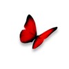 Логотип телеграм канала @club_butterfly174 — Клуб Butterfly 18 
