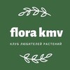 Логотип телеграм канала @club_florakmv — Клуб «Флора КМВ»