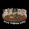 Логотип телеграм канала @club_pivnih_cats — Клуб Пивных Котят