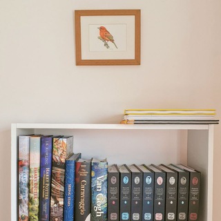 Logotipo del canal de telegramas clubedeleituraprofdanuzioneto - Clube de Leitura - Prof. Danuzio Neto