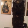 Логотип телеграм канала @cmh666sex — не рейман