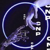 Логотип телеграм канала @cnpcrypto — CNP CRYPTO