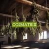 Логотип телеграм канала @co2matrix — СО2MATRIX