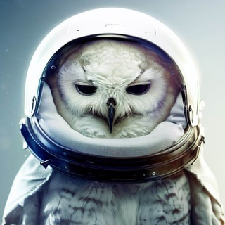 Логотип телеграм канала @coba_space — СОВА космическая