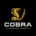 Logo saluran telegram cobratradinggroup — COBRA TRADING GROUP