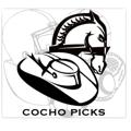 Telegram channel 🤠COCHO PICKS🐴 logo