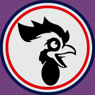 Logo of telegram channel cockdaily — COCK DAILY | Voice of Cock