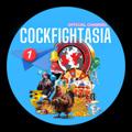 Logo saluran telegram cockfighting_co — 📢COCKFIGHTASIA OFFICIAL CHANNEL 💯 🐔🆚💸