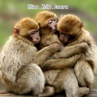 Logo of telegram channel cocokeju — ⋆ ࣪˖🚦˒ 사랑의 비밀 ʾ ִֶָ𖤜