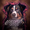 Logo of telegram channel coconutdogstop — 🥥Coconut dogs🥥