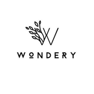Telegram channel Wondery IT Blog logo