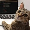 Логотип телеграм канала @codingcatitworlds — IT | Кодирующий кот