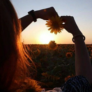 لوگوی کانال تلگرام coffe_ehsas — "کافه احساس🍃"
