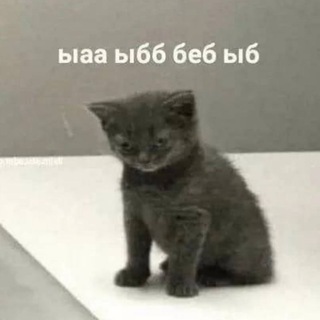 Логотип телеграм канала @coffeeandibuprofen — кофе и ибупрофен