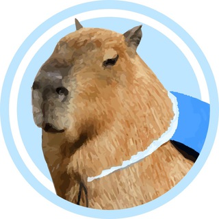 电报频道的标志 coin_capybara — Capybara