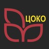 Логотип телеграм канала @cokosochi — МКУ Центр оценки качества образования г. Сочи