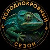 Логотип телеграм канала @cold_blooded_season — Холоднокровный Сезон