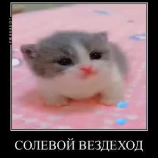 Логотип телеграм канала @colevoyvezdehod — Солевой Вездеход
