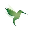 Логотип телеграм канала @colibrieffect — Эффект Колибри
