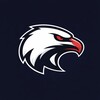 Логотип телеграм канала @collegesportusa — Спортивные стипендии в США | CollegeSportUSA