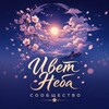 Логотип телеграм канала @color_sky — Сообщество «Цвет Неба»