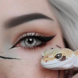 Логотип телеграм канала @colorpremium_lenses — Цветные линзы|Colorpremium_lenses