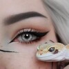 Логотип телеграм канала @colorpremium_lenses — Цветные линзы|Colorpremium_lenses