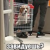 Логотип телеграм канала @com_nastushka — 🎰