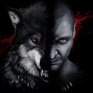 Логотип телеграм канала @combatlogic — Боевая логика🐺