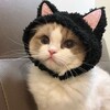 Логотип телеграм канала @comfor_tikss — ♡Кᴏʍɸᴏᴩᴛный ᴀᴋᴋᴀунᴛ♡