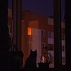 Логотип телеграм канала @comfy_chat — Ночью на кухне