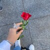 Логотип телеграм канала @comm_w — Женское Комьюнити