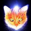 Логотип телеграм канала @compassionate_tech — Стас Лео: предложение следует