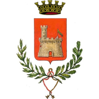 Logo del canale telegramma comunecittadella - Comune di Cittadella
