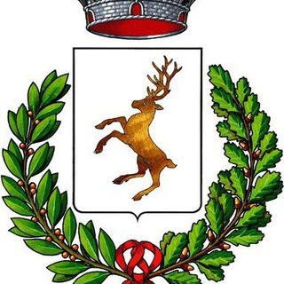 Logo del canale telegramma comunemontaione - Comune di Montaione