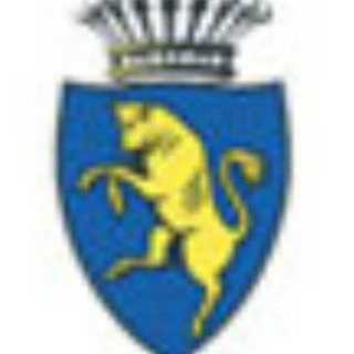 Logo del canale telegramma comunetorino - ComuneTorino