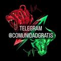 Logo saluran telegram comunidadgratis — INDICADORES BINARY / FOREX 🚀