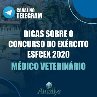 Logotipo do canal de telegrama concursoexercitoveterinario - Concurso Exército Medicina Veterinária