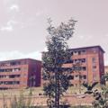 የቴሌግራም ቻናል አርማ condominiumhouse — Addis ababa Condominium housing