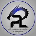 Logo saluran telegram confingserver — INJECTOR Confing
