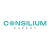 Логотип телеграм -каналу consilium2023 — КОНСИЛІУМ