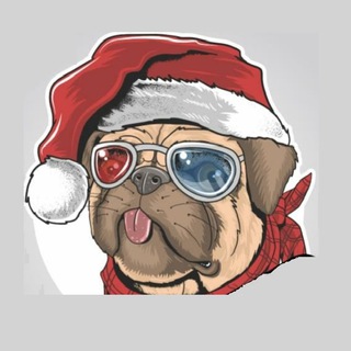 Logo of telegram channel contaspremiium007 — ♨️ Contas Premium ♨️